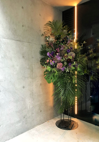 スタンド花,胡蝶蘭,観葉植物ならMaison Florist Greendays仙台